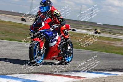 media/Mar-23-2025-TrackDaz (Sun) [[88a7749186]]/A Group/12pm (Wheelie Bump)/